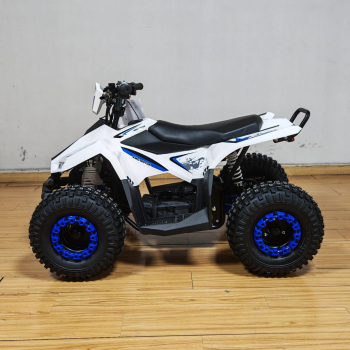 Preview: E-Quad KMG Coobra1200W  48 Volt Eco 7 Zoll Narbenmotor